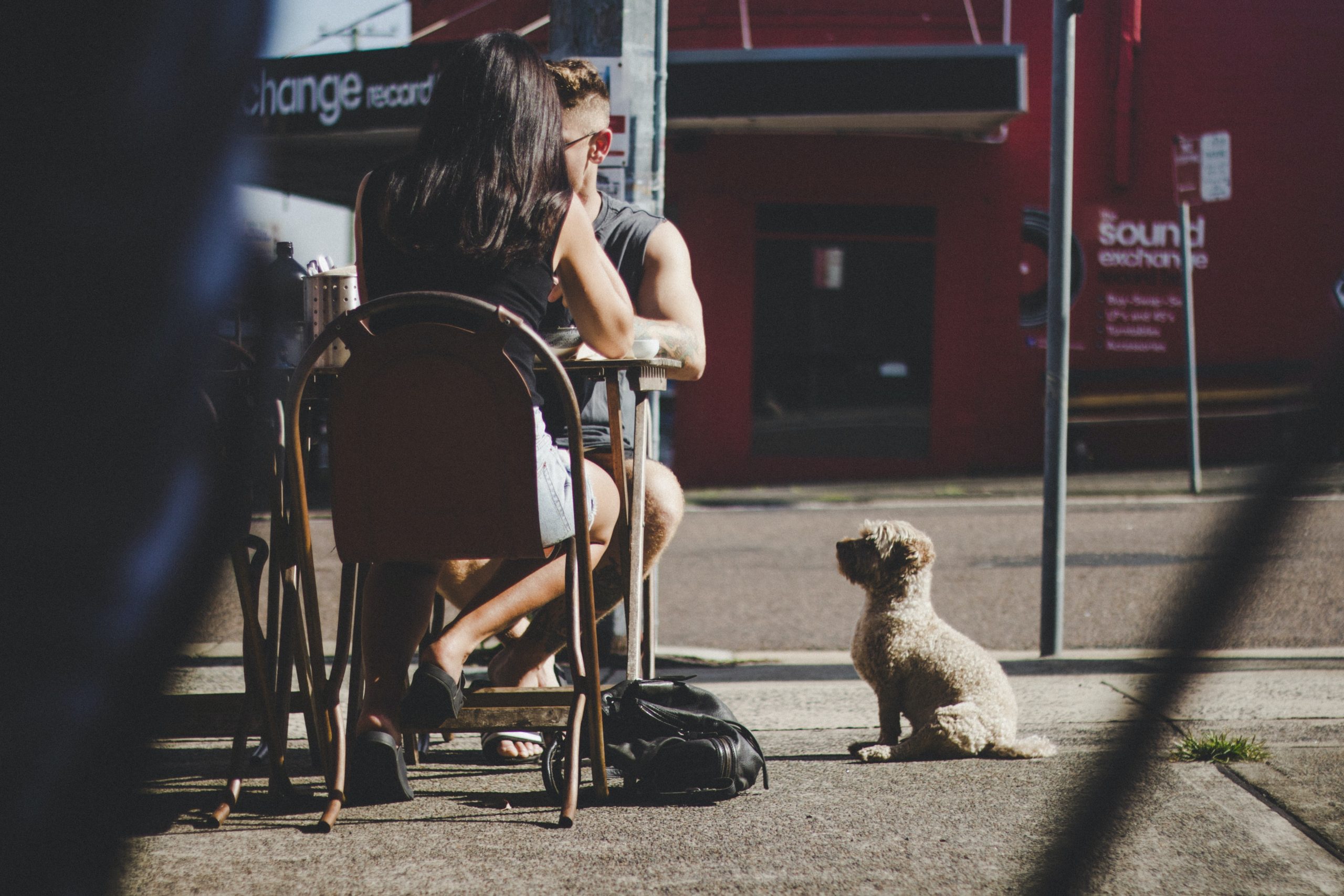 Best Dog Friendly Hot-Spots in and around Melbourne