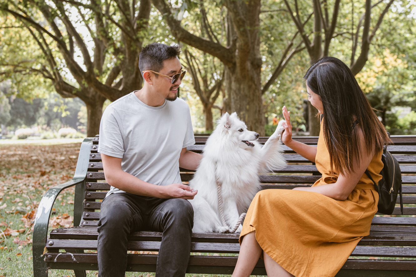 buy apartment melbourne couple with dog